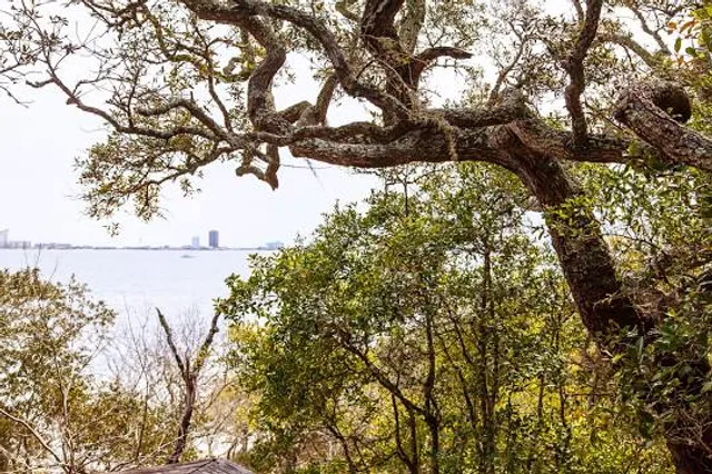 Naval Live Oaks Nature Preserve
