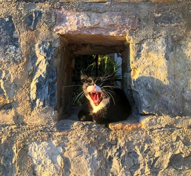 La Cueva del Nacimiento