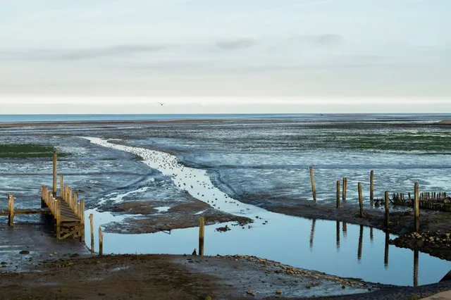 Hundestrand Carolinensiel-Harlesiel
