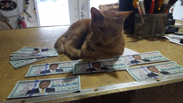 Mark Skelly Computers