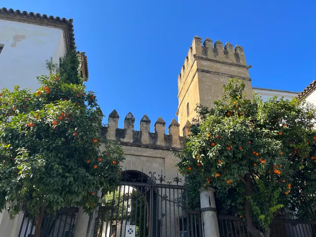 Casa de Los Marqueses del Carpio