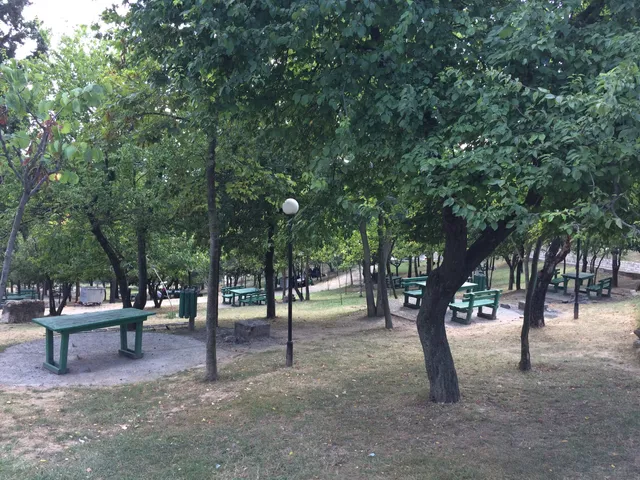 Şehitlik Korusu Parkı
