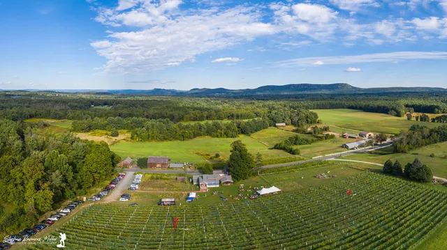 Glendale Ridge Vineyard