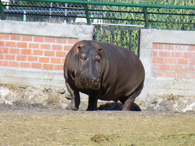 Parque Zoológico Moroleón