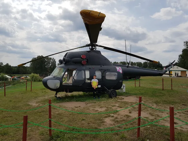 Amusement Park Active BARTBO