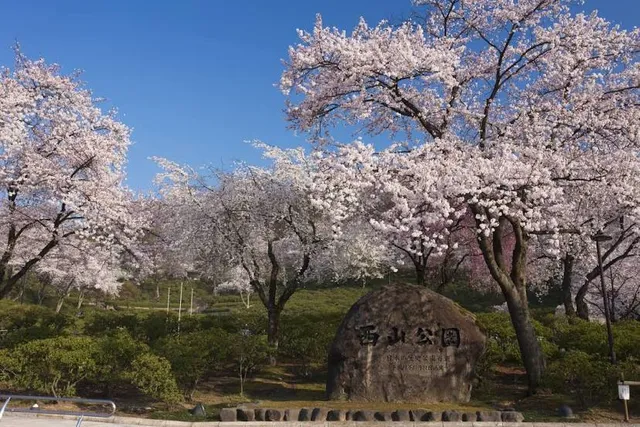 Nishiyama Park