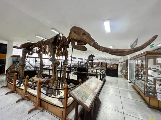 National Geological Museum José Royo y Gómez