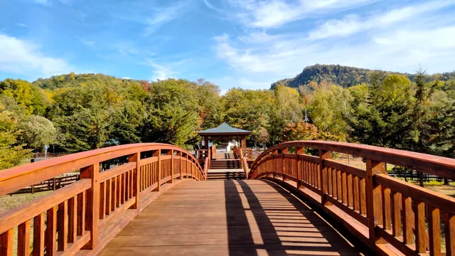 Asahikawa 21 Century Forest