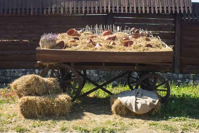 GREAT OCEAN ROAD WILDLIFE PARK