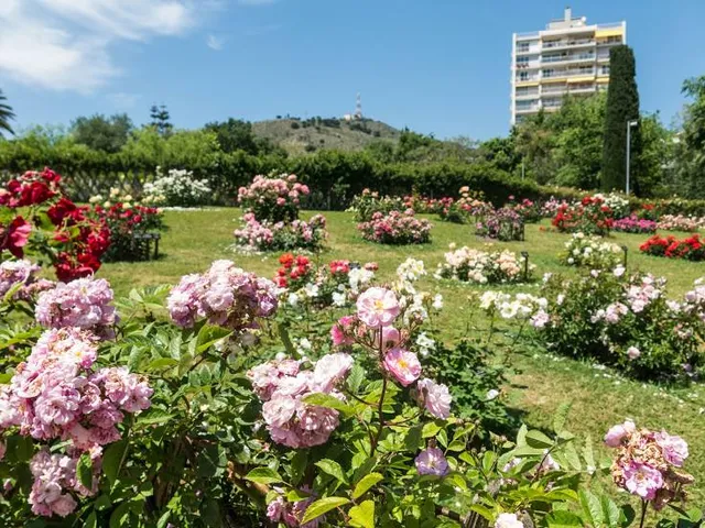Parc de Cervantes