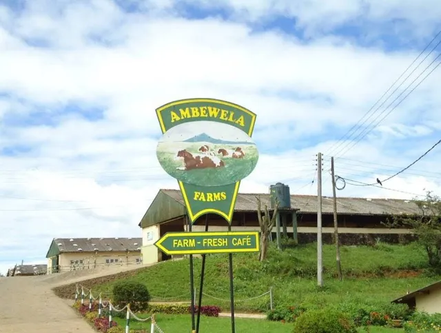 Ambewela Farms