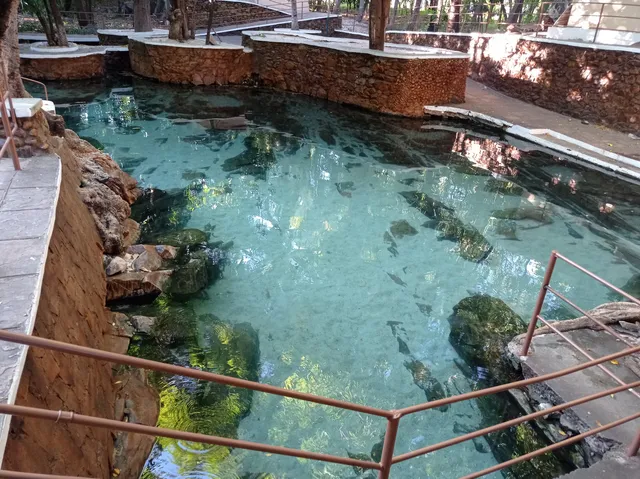 Águas termais do Paulista