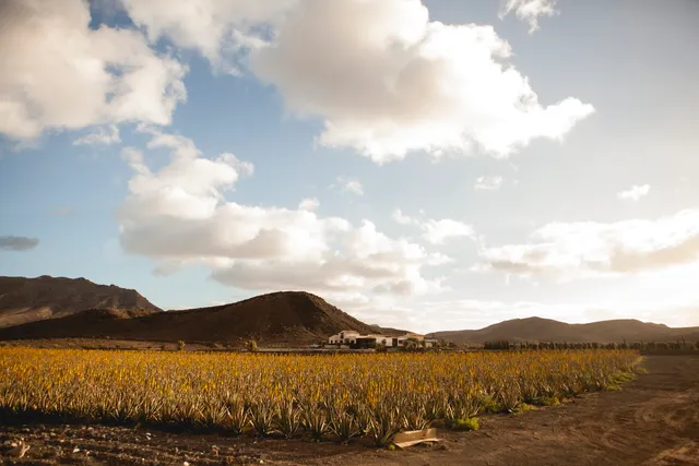 Verdeaurora Bio Farm