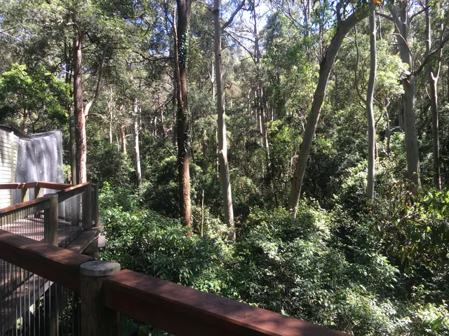 Blackbutt Reserve Wildlife Exhibit
