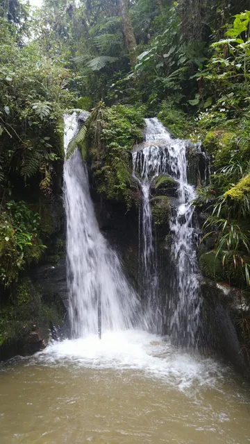 PNR Bosques Húmedos Andinos El Rasgon