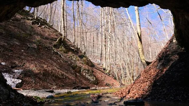 Trip to the Fairy Cave