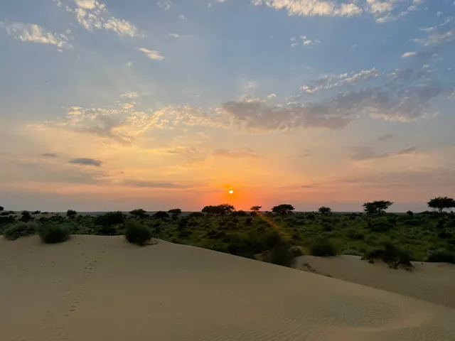 Crazy camel desert safari