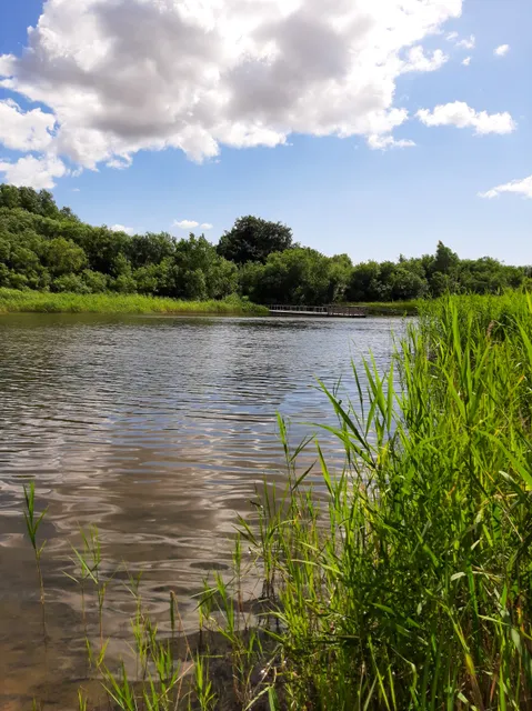 Bårsesøerne Naturområde