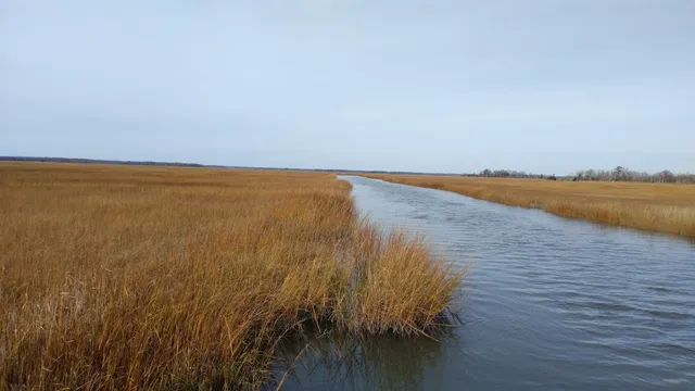 Natural Lands' Glades Wildlife Refuge