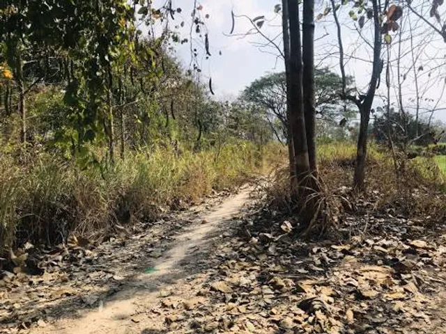 Chickahominy Wildlife Management Area