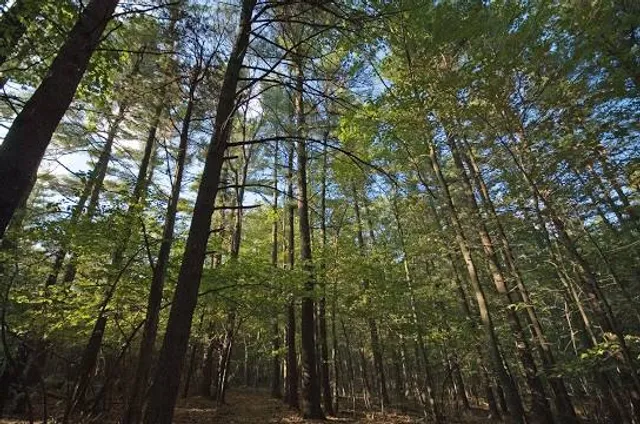 Mass Audubon's Moose Hill Wildlife Sanctuary