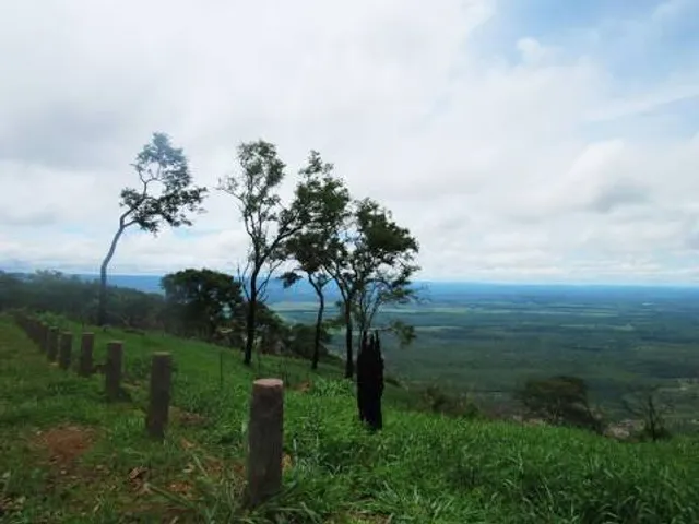 place image