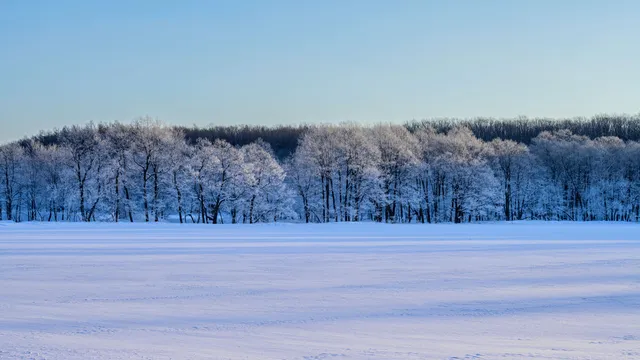 Ice Fog Viewing Point