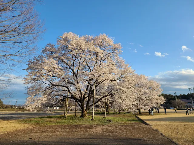Tenpyo no Oka Park