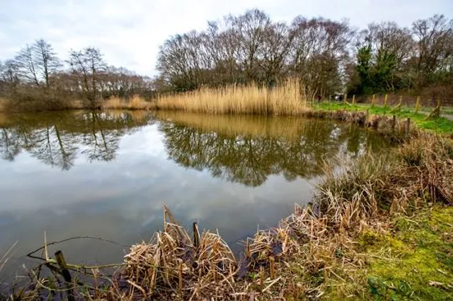 Lindow Common (SSSI & LNR)