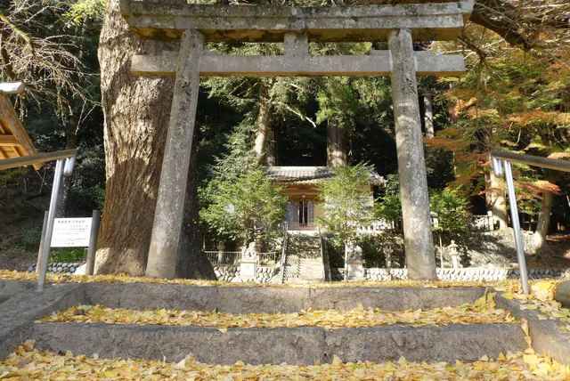 Kasuga Shrine