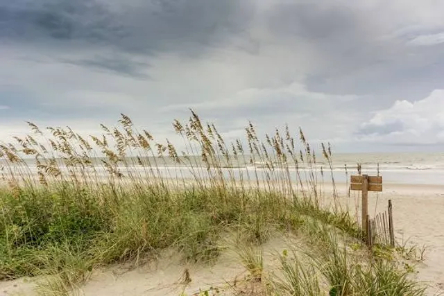 Sea Oats Beach