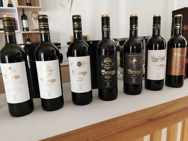Bodegas Briego - Ribera del Duero
