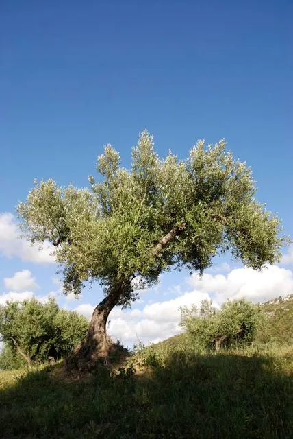 Hagerman Wildlife Management Area