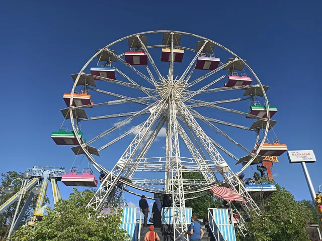 Demiryas Medya Takipçi Paneli