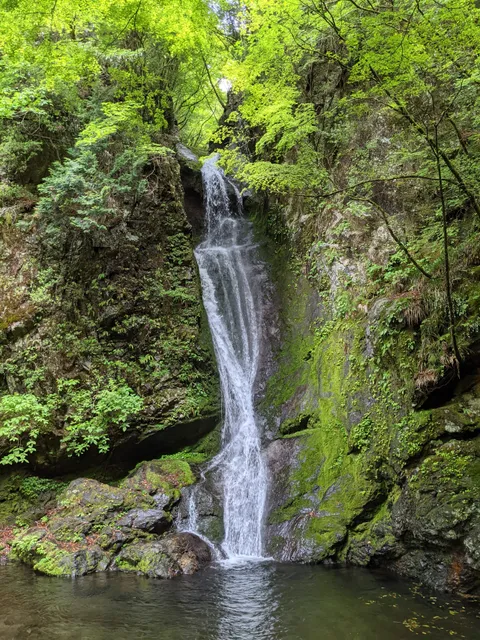 photo-1