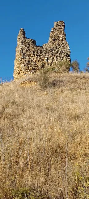 Castillo de los Condes de Saldaña