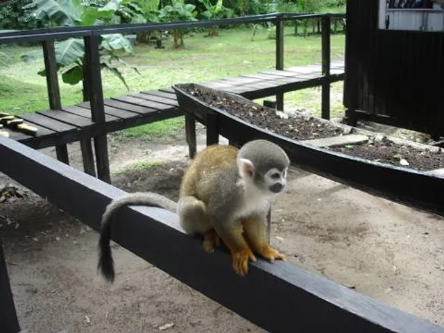 Parque Nacional Natural Cahuinarí