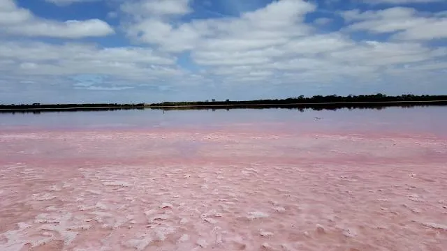 Pink Lake