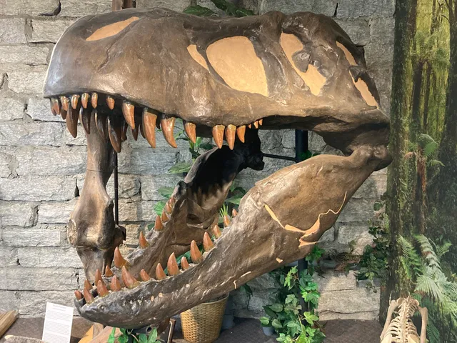 Mineral & Lapidary Museum