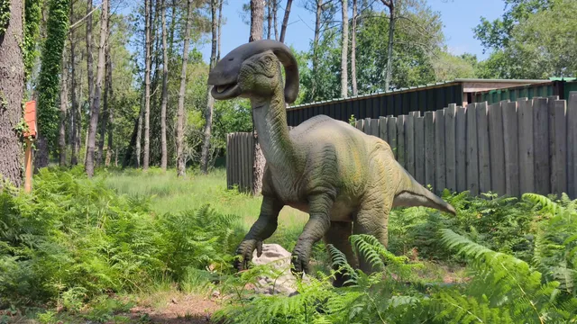 Dinosaures Parc
