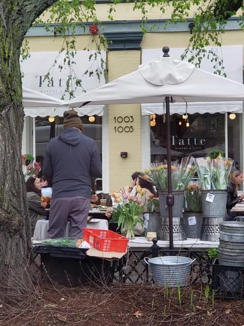 Tatte Bakery & Cafe | Main St