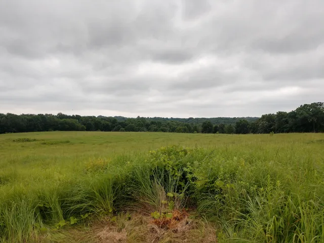 Owen Conservation Park