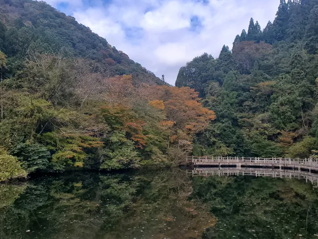 Momiji Pond