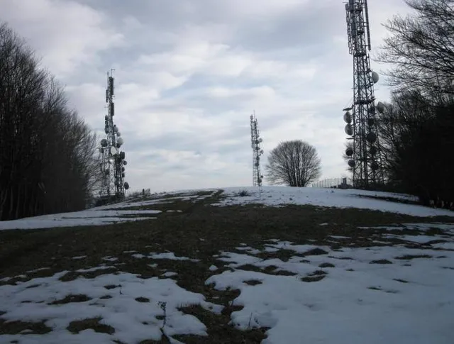 Caprese Michelangelo