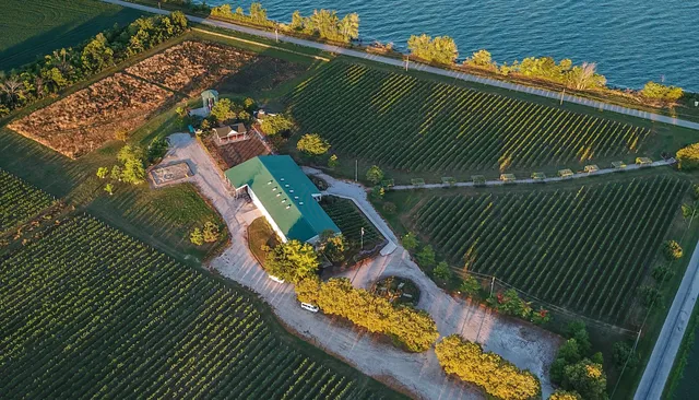 Pelee Island Winery Pavilion