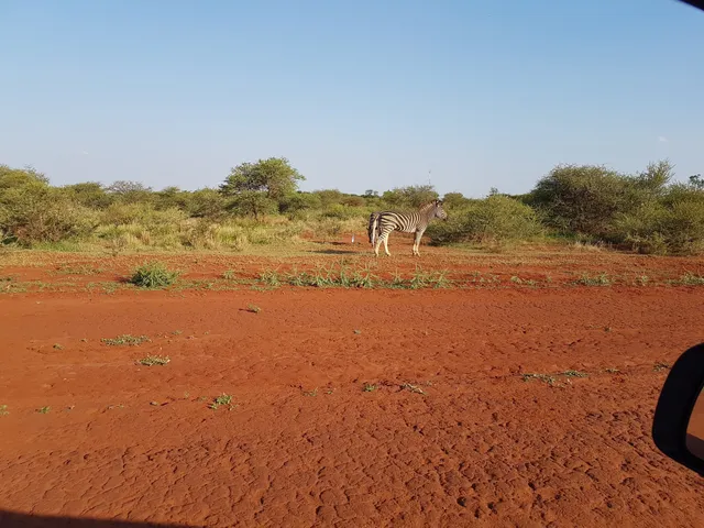 Zwartkloof Nature Reserve