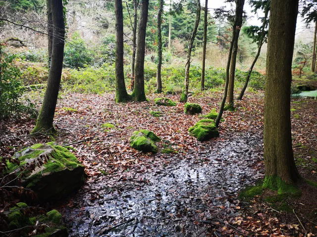 Rempstone Stone Circle