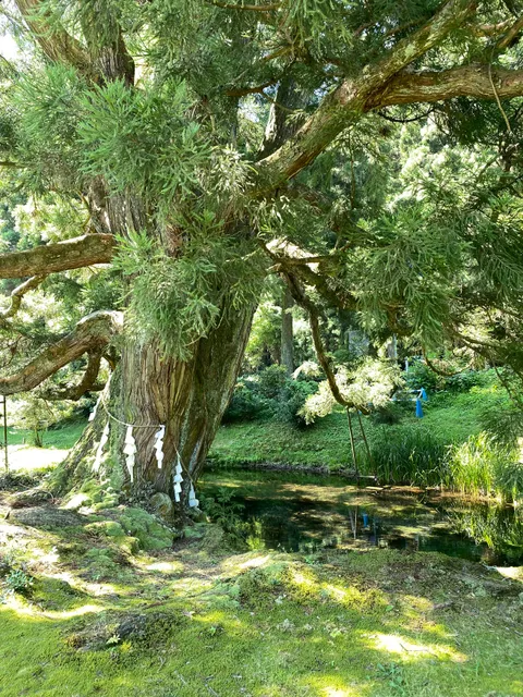 photo-3