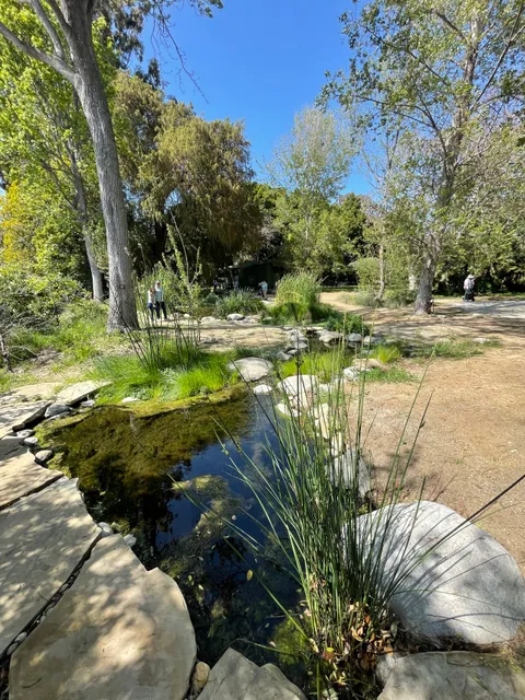 Kuruvungna Village Springs