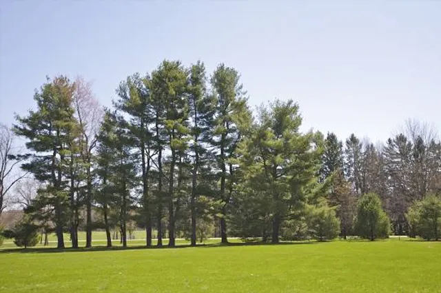 Martin Van Buren National Historic Site